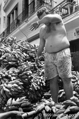 fat_man_bananas.jpg (55124 bytes)